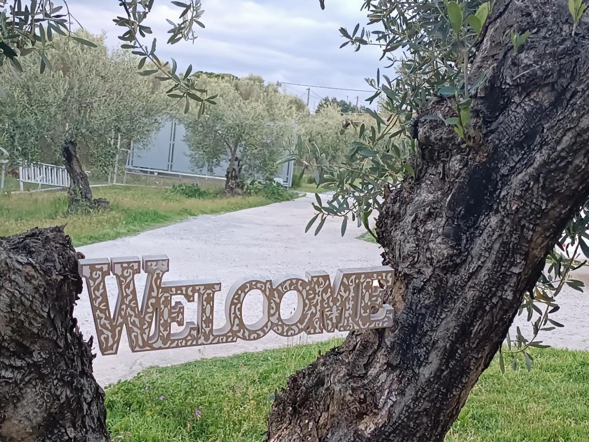The Secret Olive House Villa Nea Michaniona Exterior foto