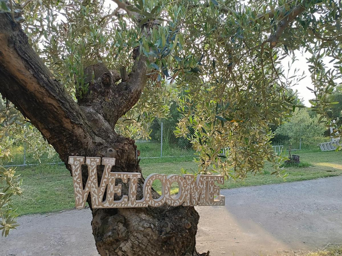 The Secret Olive House Villa Nea Michaniona Exterior foto
